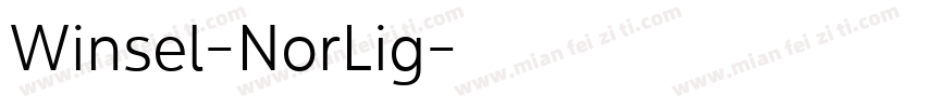 Winsel-NorLig字体转换