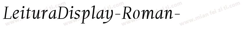 LeituraDisplay-Roman字体转换
