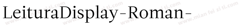 LeituraDisplay-Roman字体转换