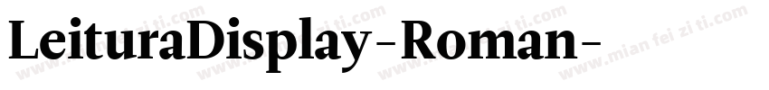 LeituraDisplay-Roman字体转换