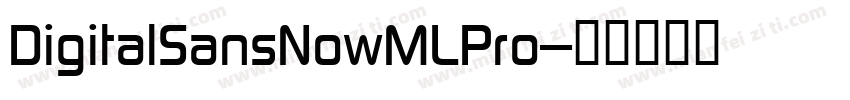 DigitalSansNowMLPro-字体转换