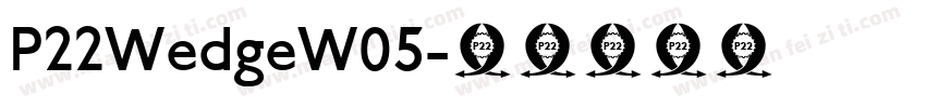 P22WedgeW05字体转换