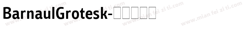 BarnaulGrotesk字体转换