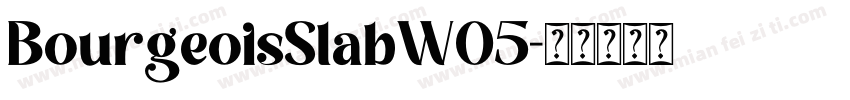 BourgeoisSlabW05字体转换