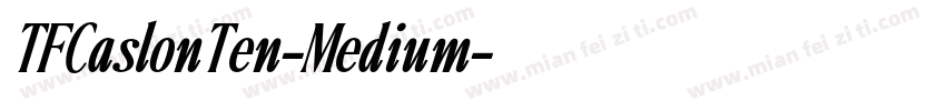 TFCaslonTen-Medium字体转换
