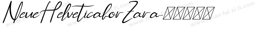 NeueHelveticaforZara字体转换