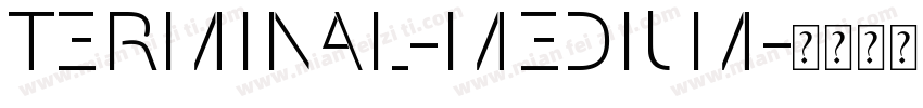 Terminal-Medium字体转换