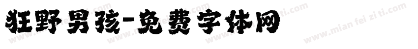 狂野男孩字体转换
