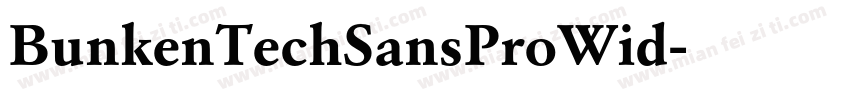 BunkenTechSansProWid字体转换