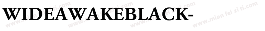 WIDEAWAKEBLACK字体转换