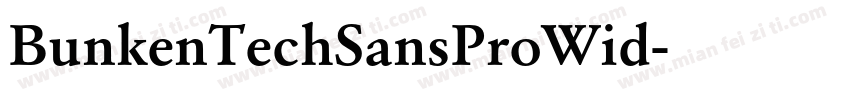 BunkenTechSansProWid字体转换