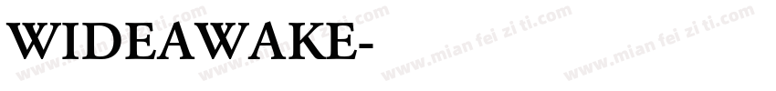 WIDEAWAKE字体转换