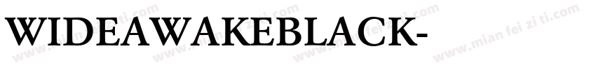 WIDEAWAKEBLACK字体转换