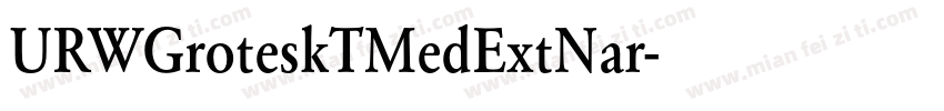 URWGroteskTMedExtNar字体转换