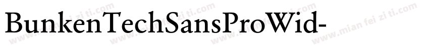 BunkenTechSansProWid字体转换