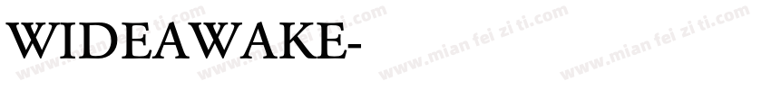 WIDEAWAKE字体转换