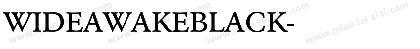 WIDEAWAKEBLACK字体转换