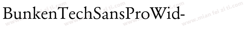 BunkenTechSansProWid字体转换