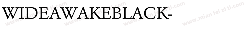 WIDEAWAKEBLACK字体转换