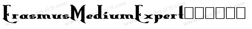 ErasmusMediumExpert字体转换