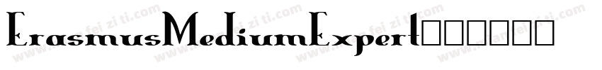 ErasmusMediumExpert字体转换