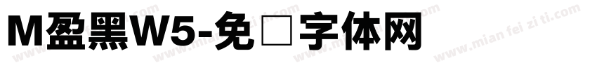 M盈黑W5字体转换