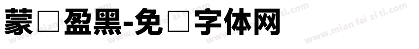 蒙纳盈黑字体转换