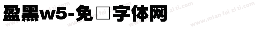 盈黑w5字体转换