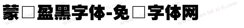 蒙纳盈黑字体字体转换