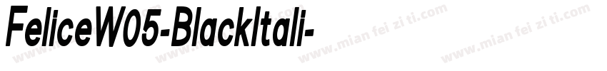 FeliceW05-BlackItali字体转换