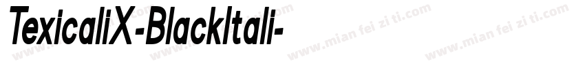 TexicaliX-BlackItali字体转换