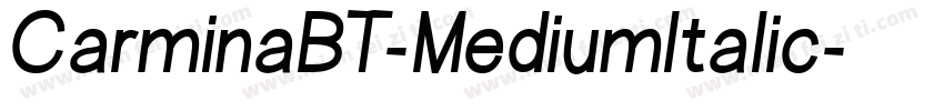 CarminaBT-MediumItalic字体转换