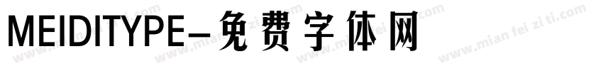MEIDITYPE字体转换