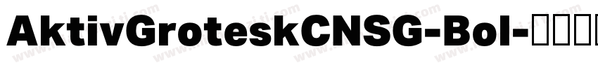 AktivGroteskCNSG-Bol字体转换