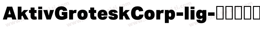 AktivGroteskCorp-lig字体转换