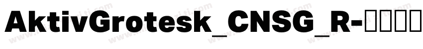 AktivGrotesk_CNSG_R字体转换