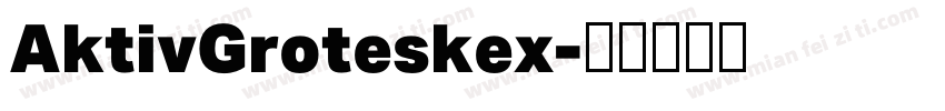 AktivGroteskex字体转换