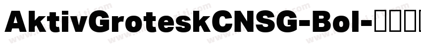 AktivGroteskCNSG-Bol字体转换