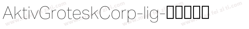 AktivGroteskCorp-lig字体转换