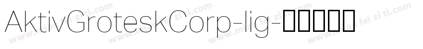 AktivGroteskCorp-lig字体转换