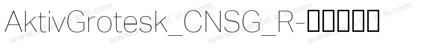 AktivGrotesk_CNSG_R字体转换