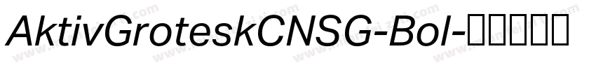 AktivGroteskCNSG-Bol字体转换