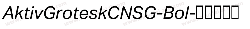 AktivGroteskCNSG-Bol字体转换