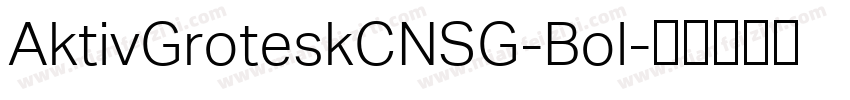 AktivGroteskCNSG-Bol字体转换