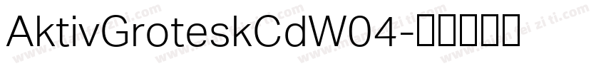 AktivGroteskCdW04字体转换