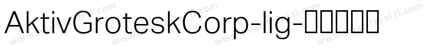 AktivGroteskCorp-lig字体转换