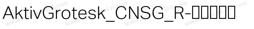 AktivGrotesk_CNSG_R字体转换