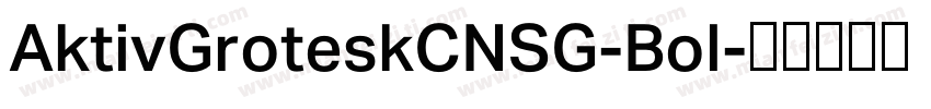 AktivGroteskCNSG-Bol字体转换