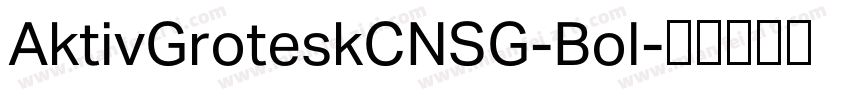 AktivGroteskCNSG-Bol字体转换