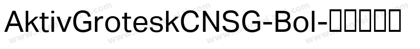 AktivGroteskCNSG-Bol字体转换